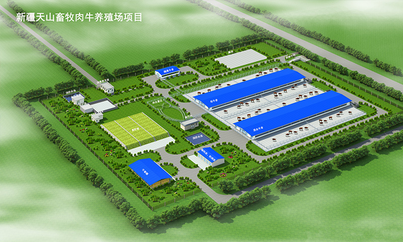新疆天山畜牧西門塔爾牛養(yǎng)殖場項目